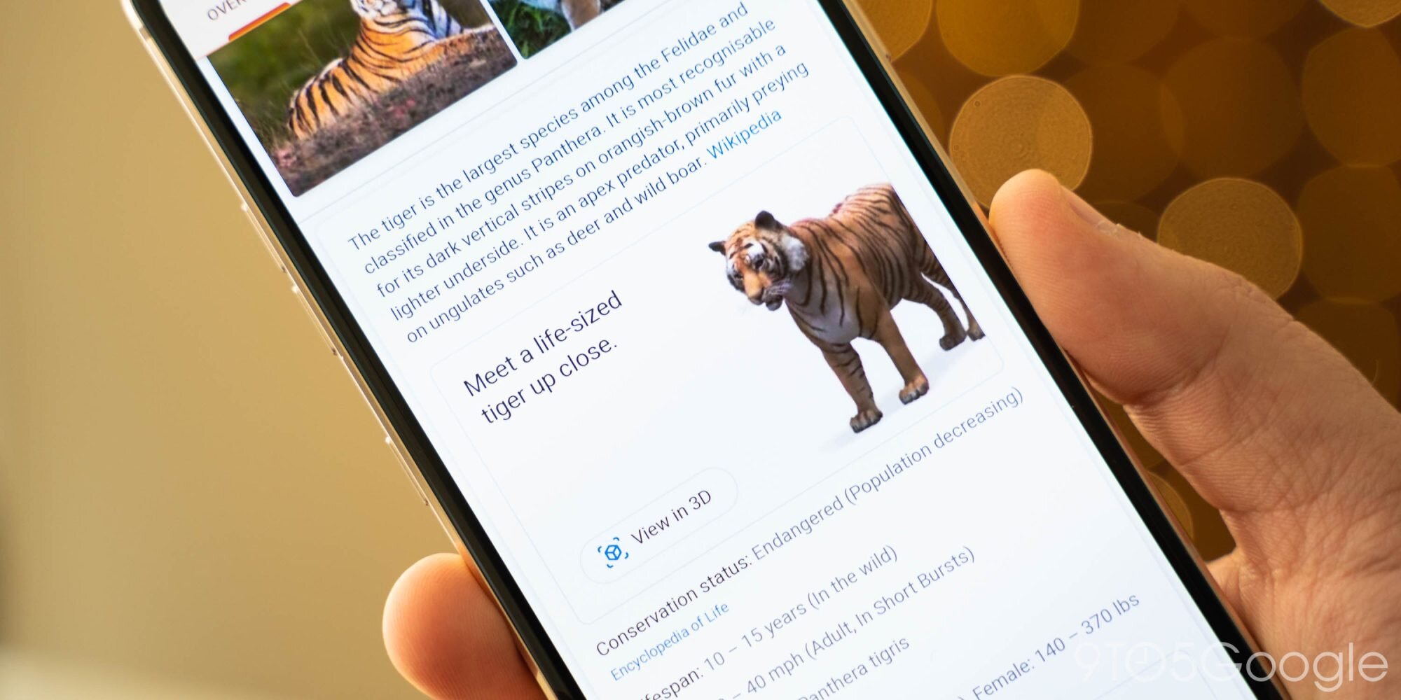Google 3D animals and objects: Which ones are available and how to
